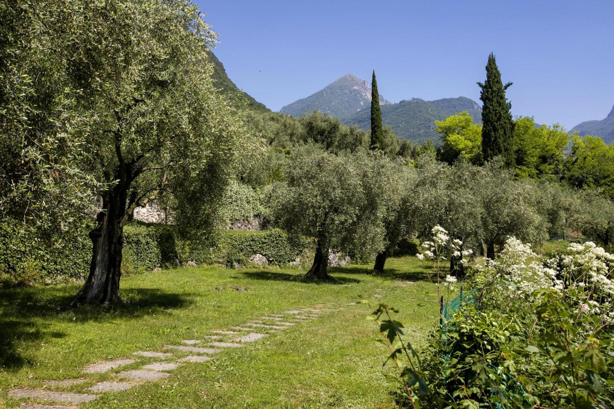 Lake View Dom-Us Apartment - Happy Rentals Riva del Garda Eksteriør billede
